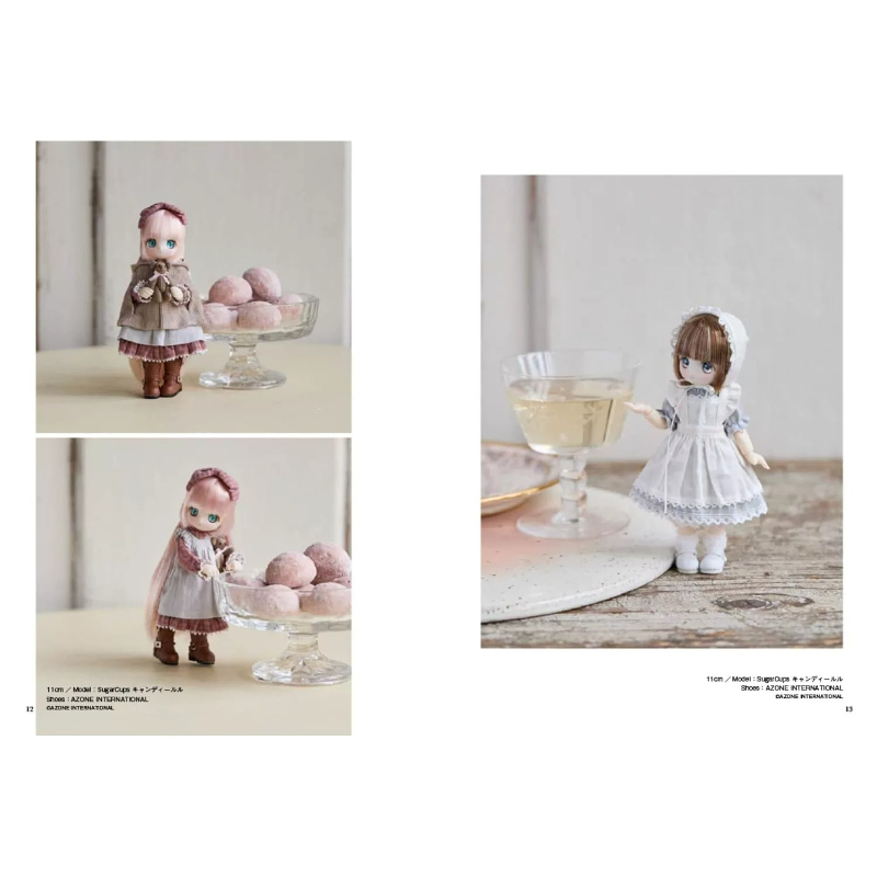 Complete gids voor het aankled - Japanese Lifestyle Books recensie en prijs